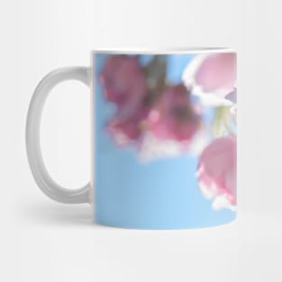 Sakura Mug